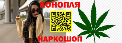 стаф Рыбинск