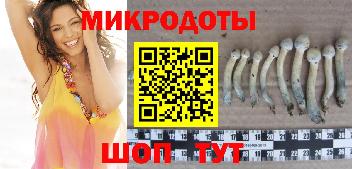 Александров  Псилоцибиновые грибы Psilocybine cubensis  Вход с VPN  Галлюциногенные грибы Magic Shrooms 