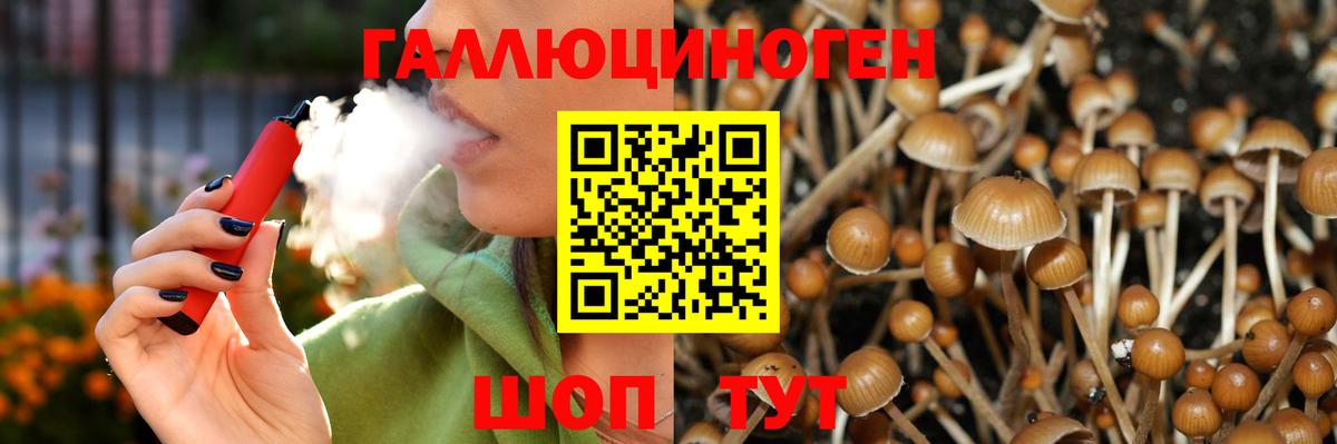 Галлюциногенные грибы мицелий Александров